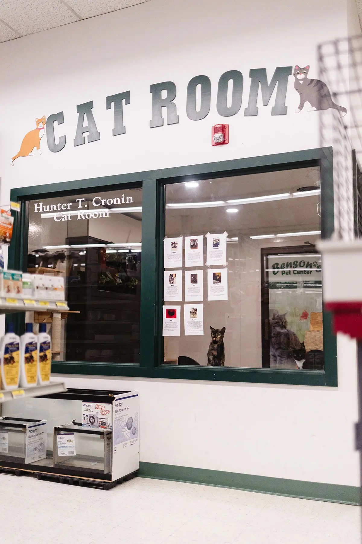 Pet Store In Clifton Park Shop Supplies & Learn About Pet Care