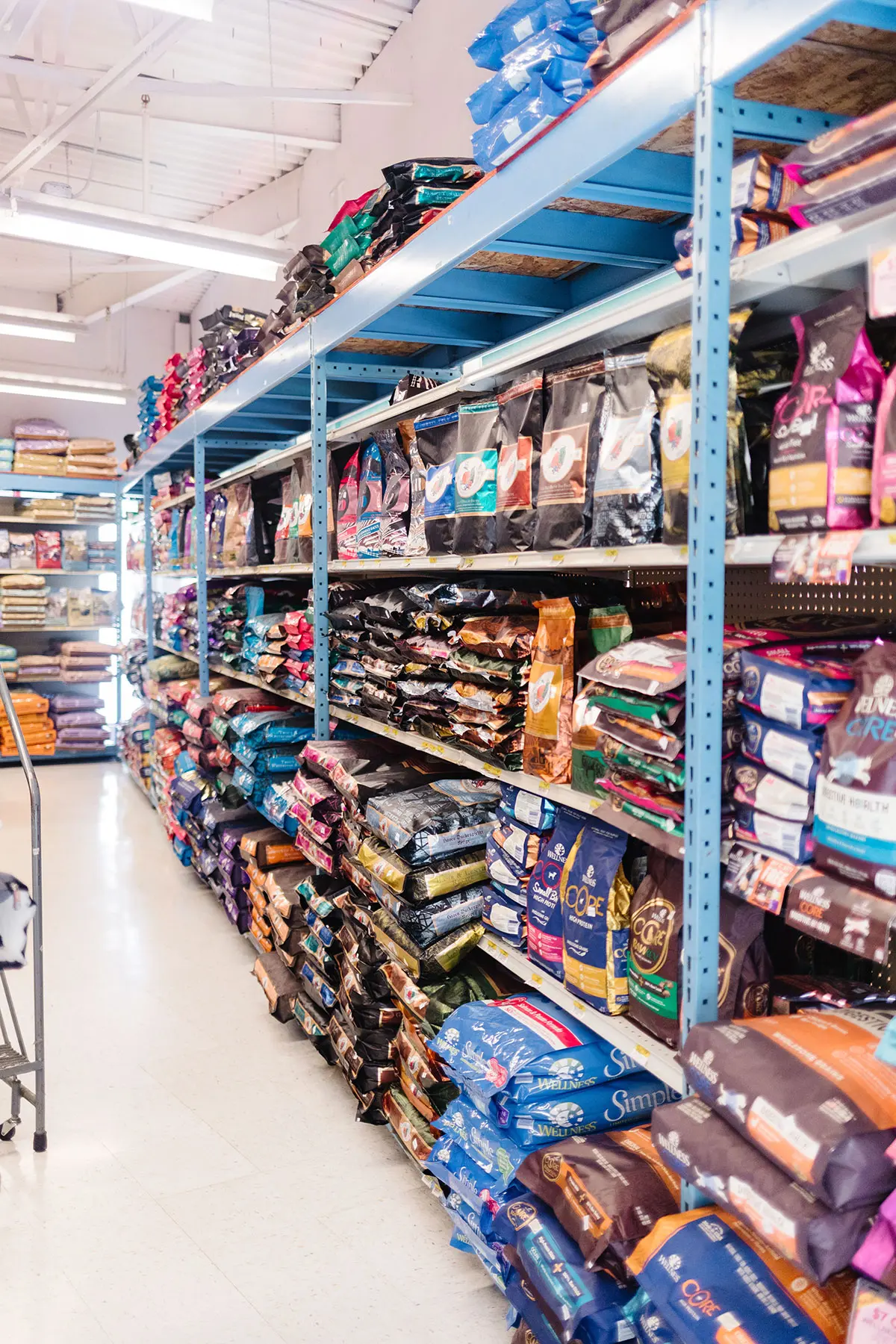 Pet Store In Queensbury Shop Supplies & Learn About Pet Care